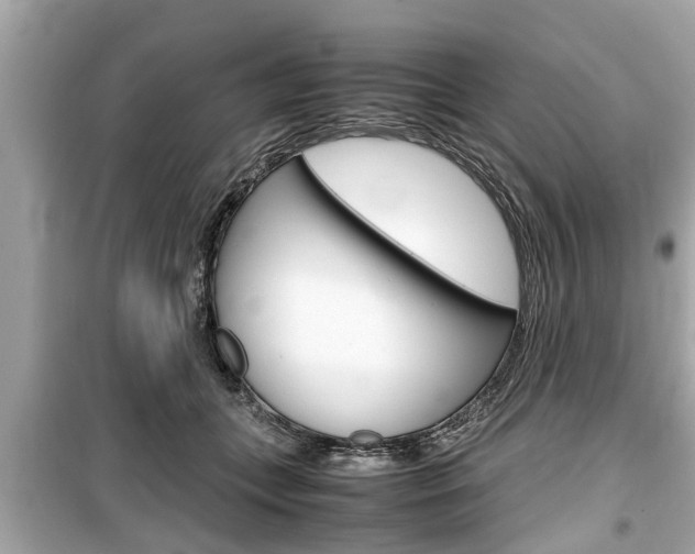 X0000099550559200805160729