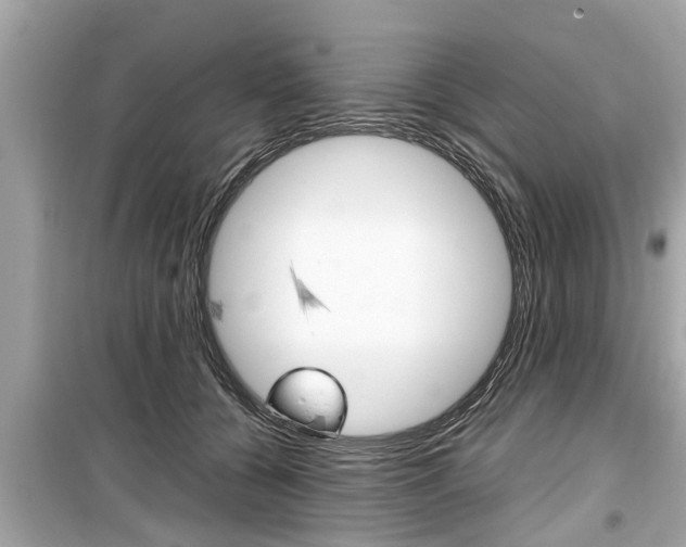 X0000099550560200805160729