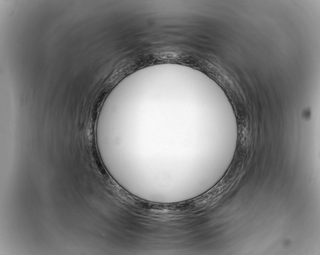 X0000099550561200805160729