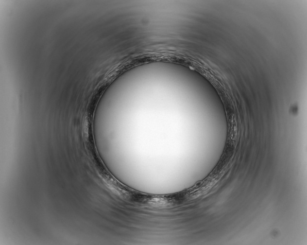 X0000099550562200805160729