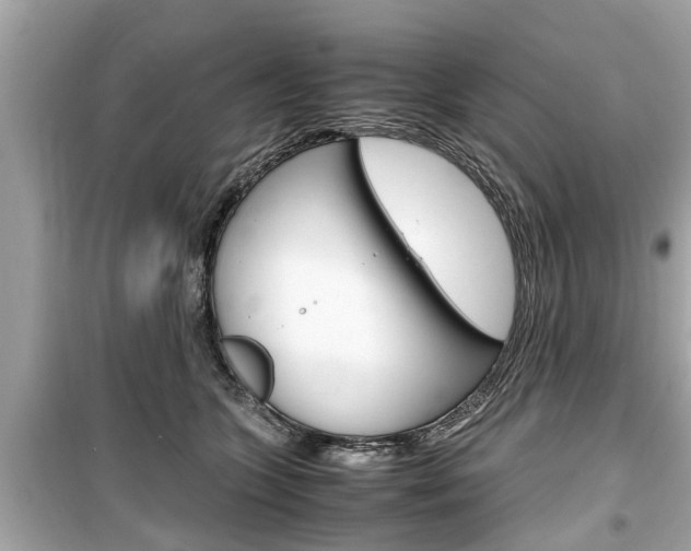 X0000099550563200805160729