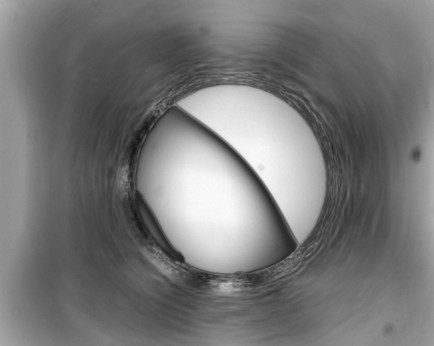 X0000099550564200805160729