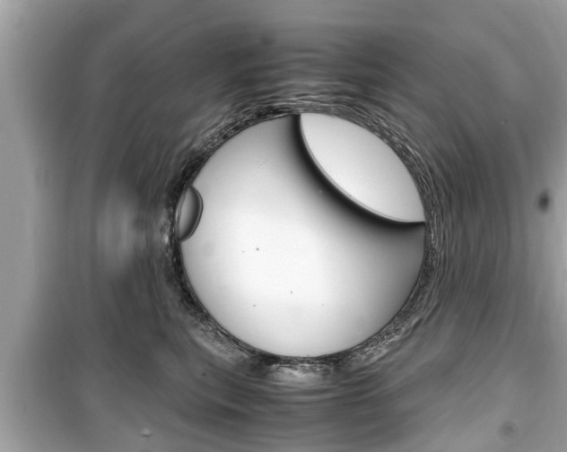 X0000099550567200805160729