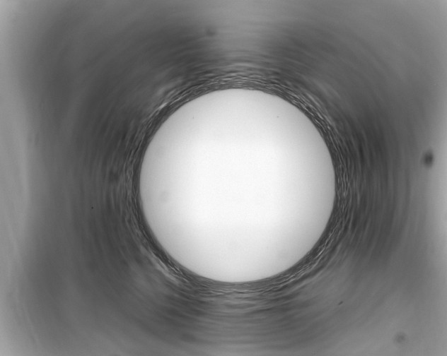X0000099550568200805160729