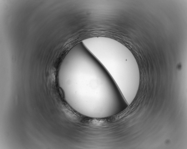 X0000099550570200805160729
