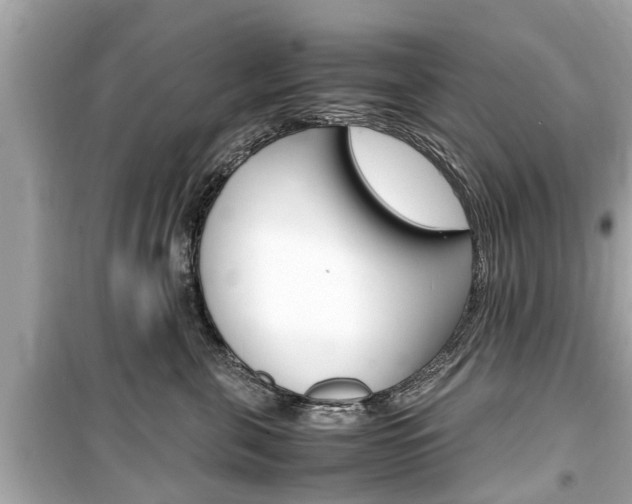 X0000099550571200805160729