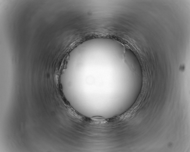 X0000099550576200805160729