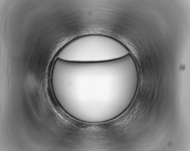 X0000099550578200805160728