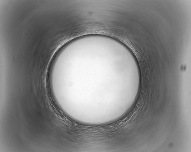X0000099550579200805160728