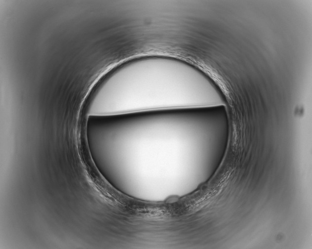 X0000099550580200805160728