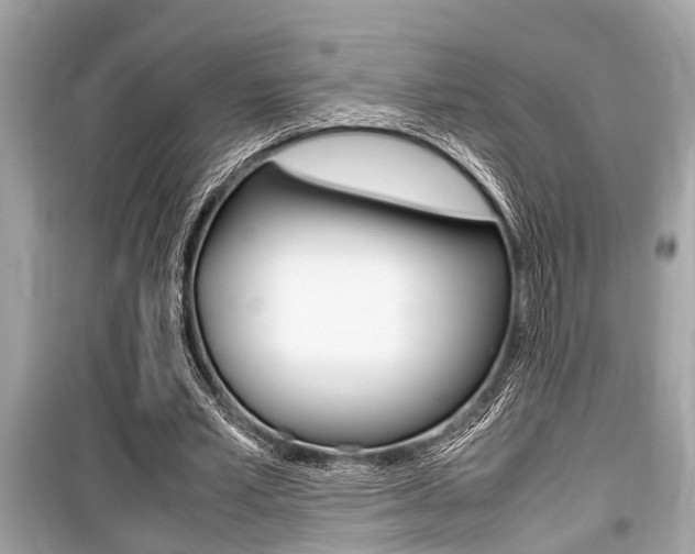 X0000099550581200805160728