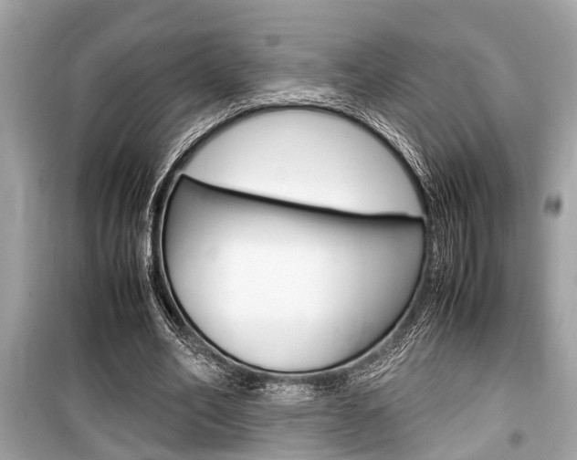 X0000099550582200805160728