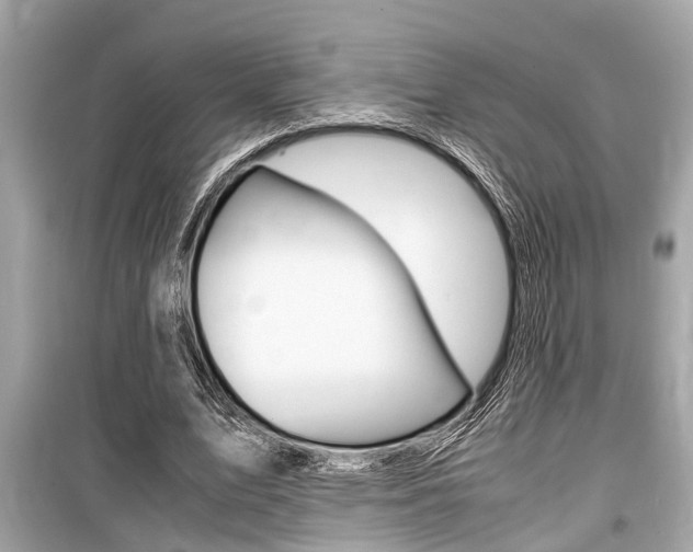 X0000099550583200805160728