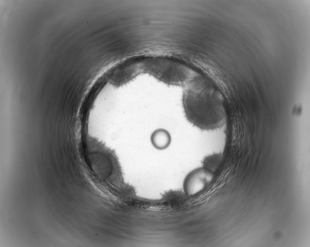 X0000099550584200805160728