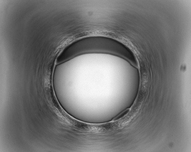X0000099550585200805160728