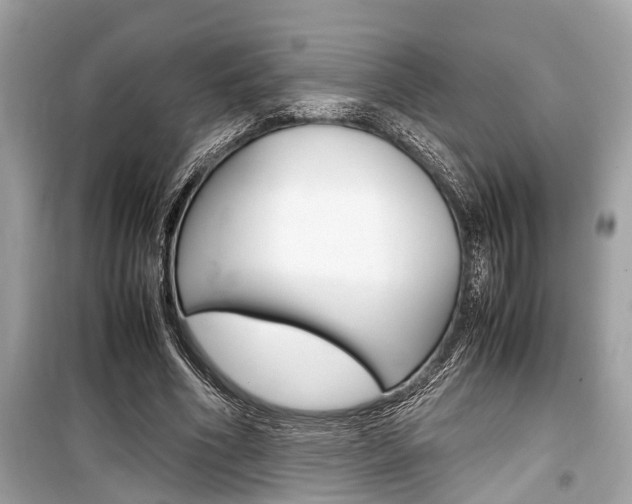 X0000099550586200805160728