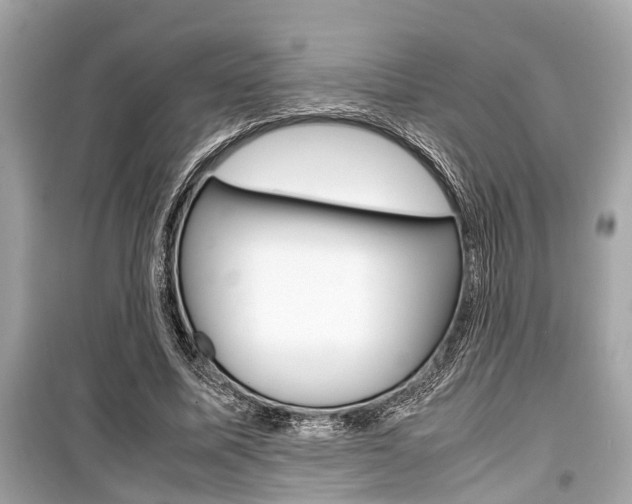 X0000099550587200805160728