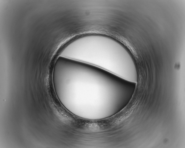 X0000099550588200805160728
