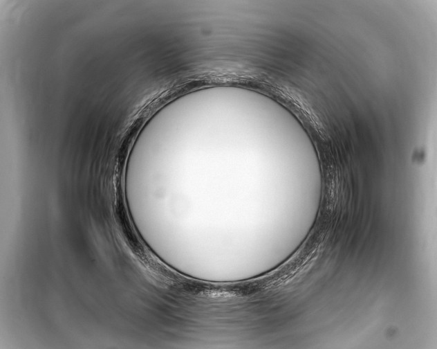 X0000099550590200805160728