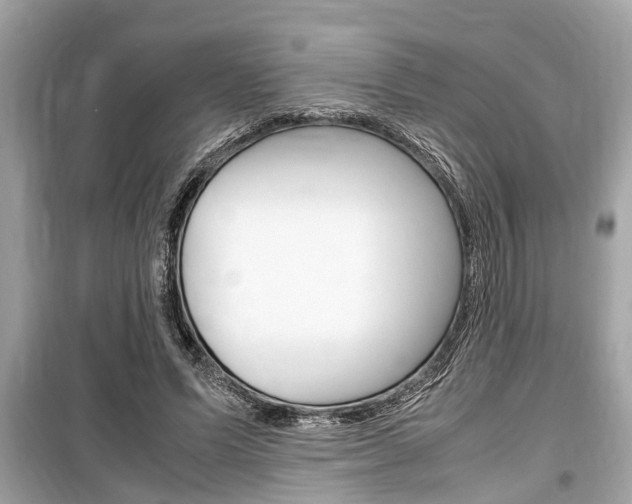 X0000099550591200805160728
