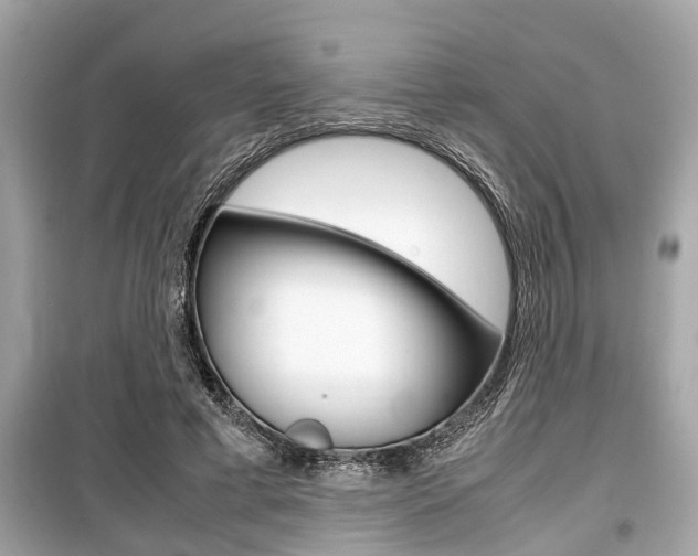 X0000099550593200805160728