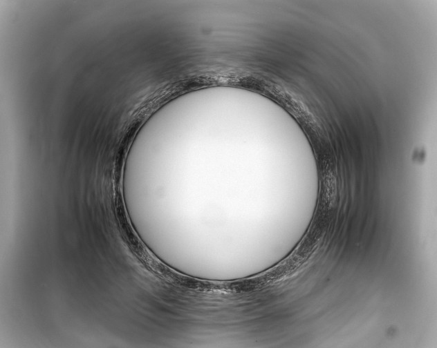 X0000099550594200805160728