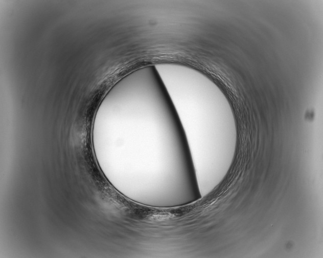 X0000099550595200805160728