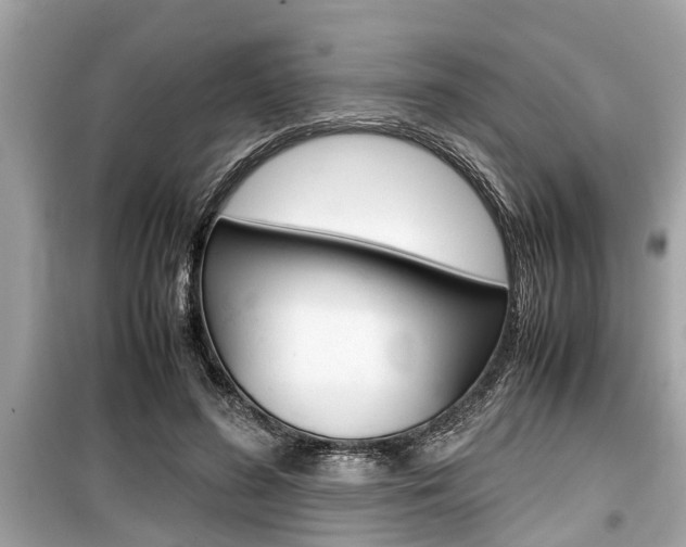 X0000099550596200805160728