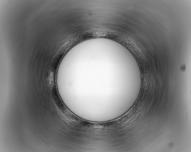 X0000099550598200805160728
