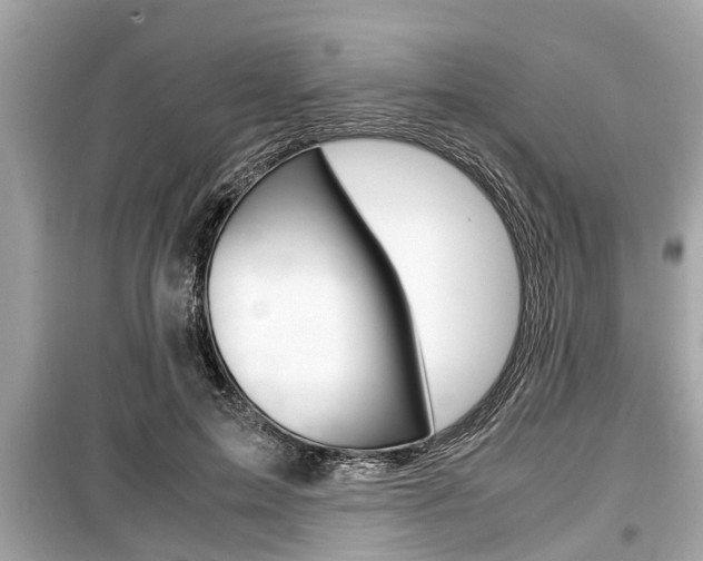 X0000099550599200805160728