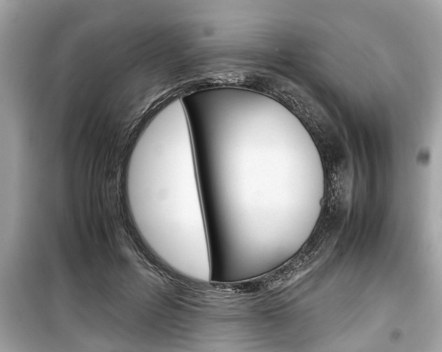 X0000099550600200805160728