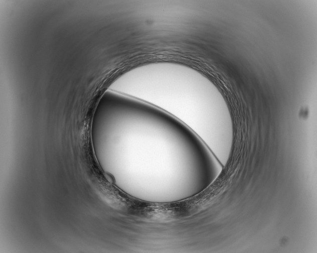 X0000099550601200805160728