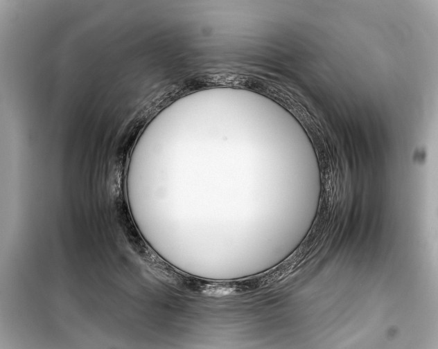 X0000099550602200805160728