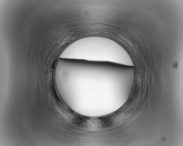X0000099550603200805160728