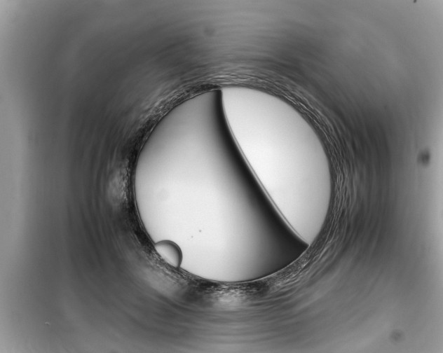 X0000099550604200805160728