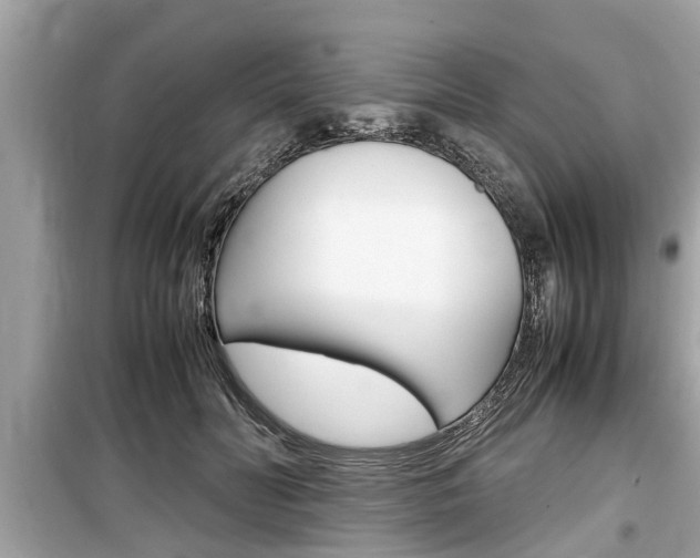 X0000099550606200805160728