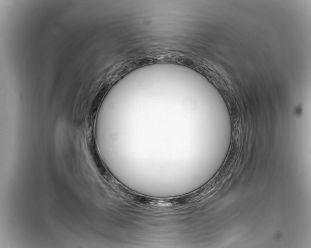 X0000099550607200805160728