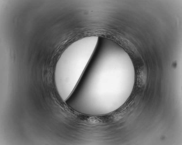 X0000099550608200805160728
