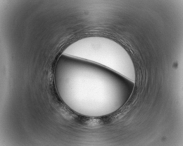 X0000099550609200805160728