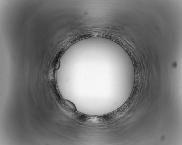 X0000099550611200805160728