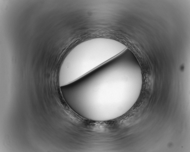 X0000099550612200805160728