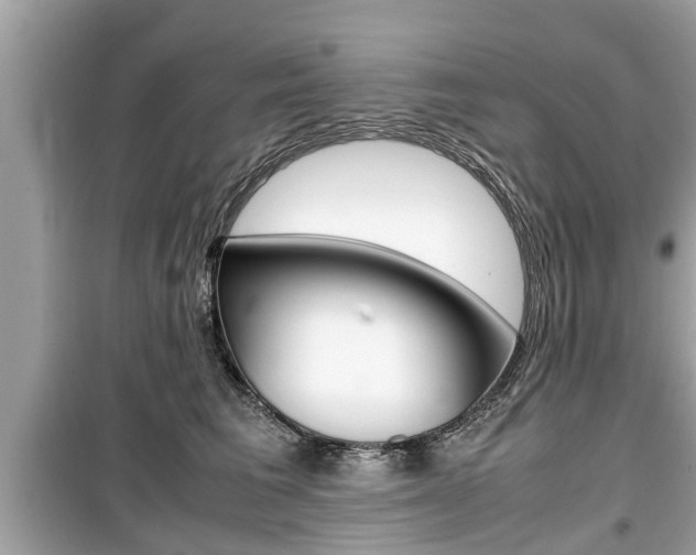 X0000099550613200805160728