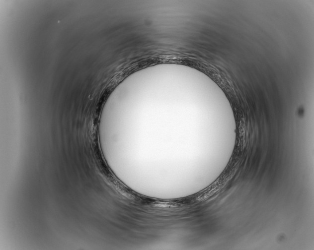 X0000099550614200805160728