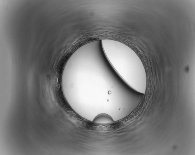 X0000099550615200805160728