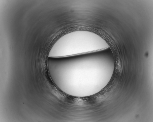 X0000099550616200805160728