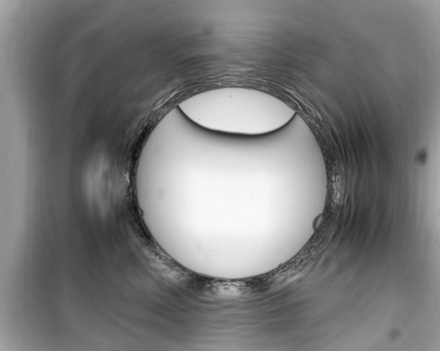 X0000099550618200805160728