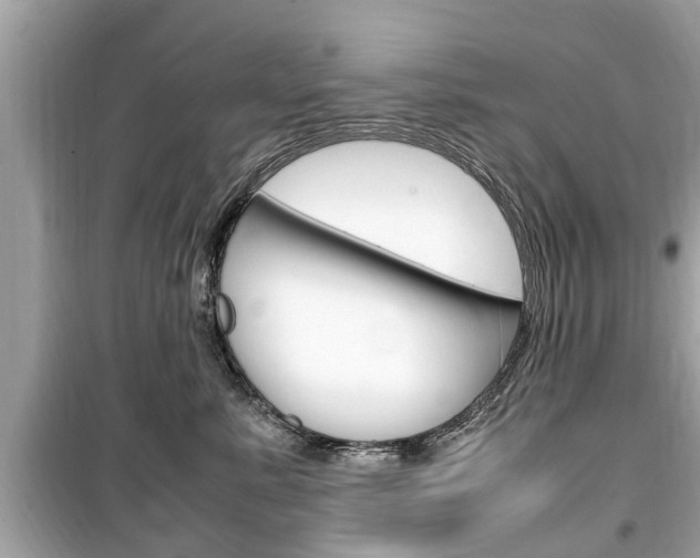 X0000099550619200805160728