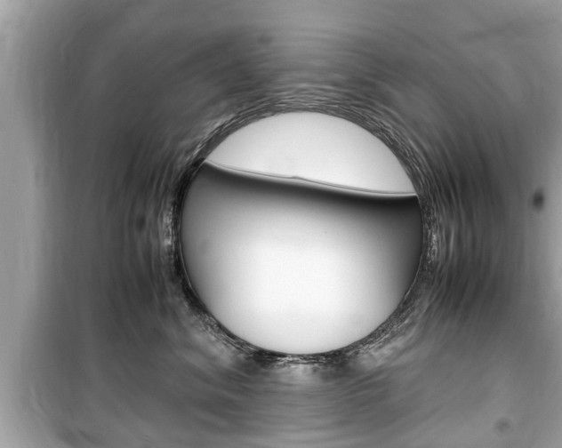 X0000099550620200805160728