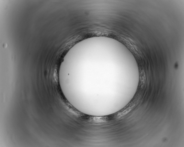 X0000099550622200805160728