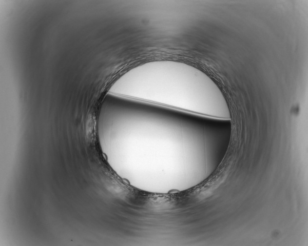 X0000099550624200805160728
